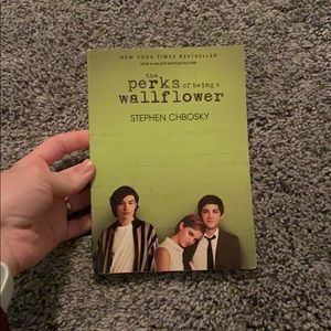 The Perks of Being a Wallflower book.